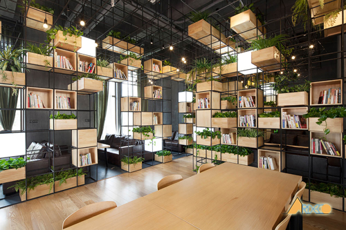 Thiết kế nội thất văn phòng đẹp tại Hà Nội với không gian xanh
