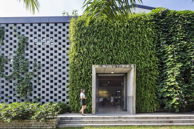 3 mẫu văn phòng làm việc xanh, thông thoáng ở Việt Nam