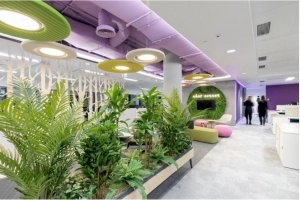 Thiết kế văn phòng xanh - xu hướng của mới của tương lai